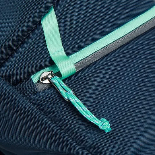 Anti-Theft Greenlander Collection 21L Backpack by Travelon (43578)