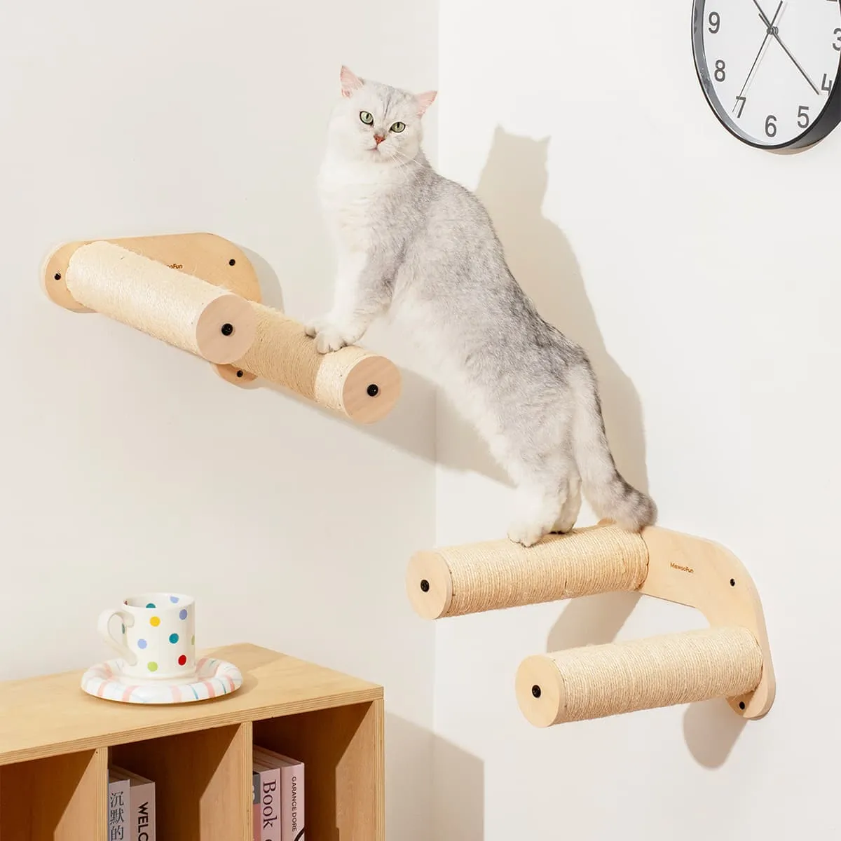 Bushwick Cat Step Double