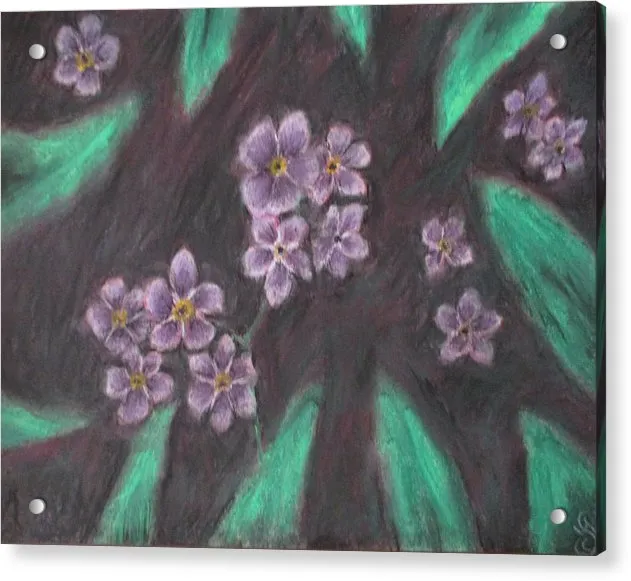 Forget Me Not - Acrylic Print
