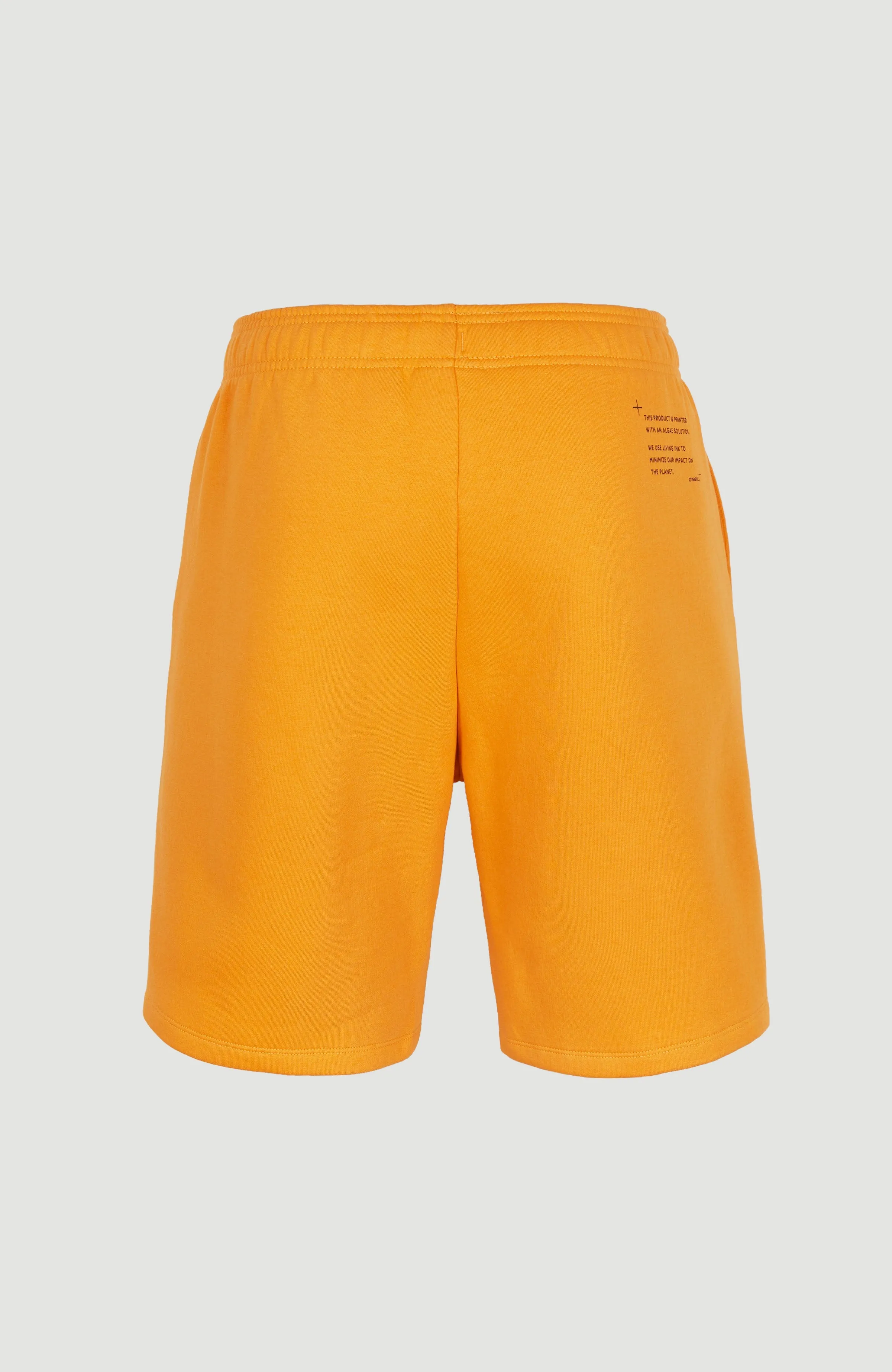 Future Surf Sweatshorts | Nugget