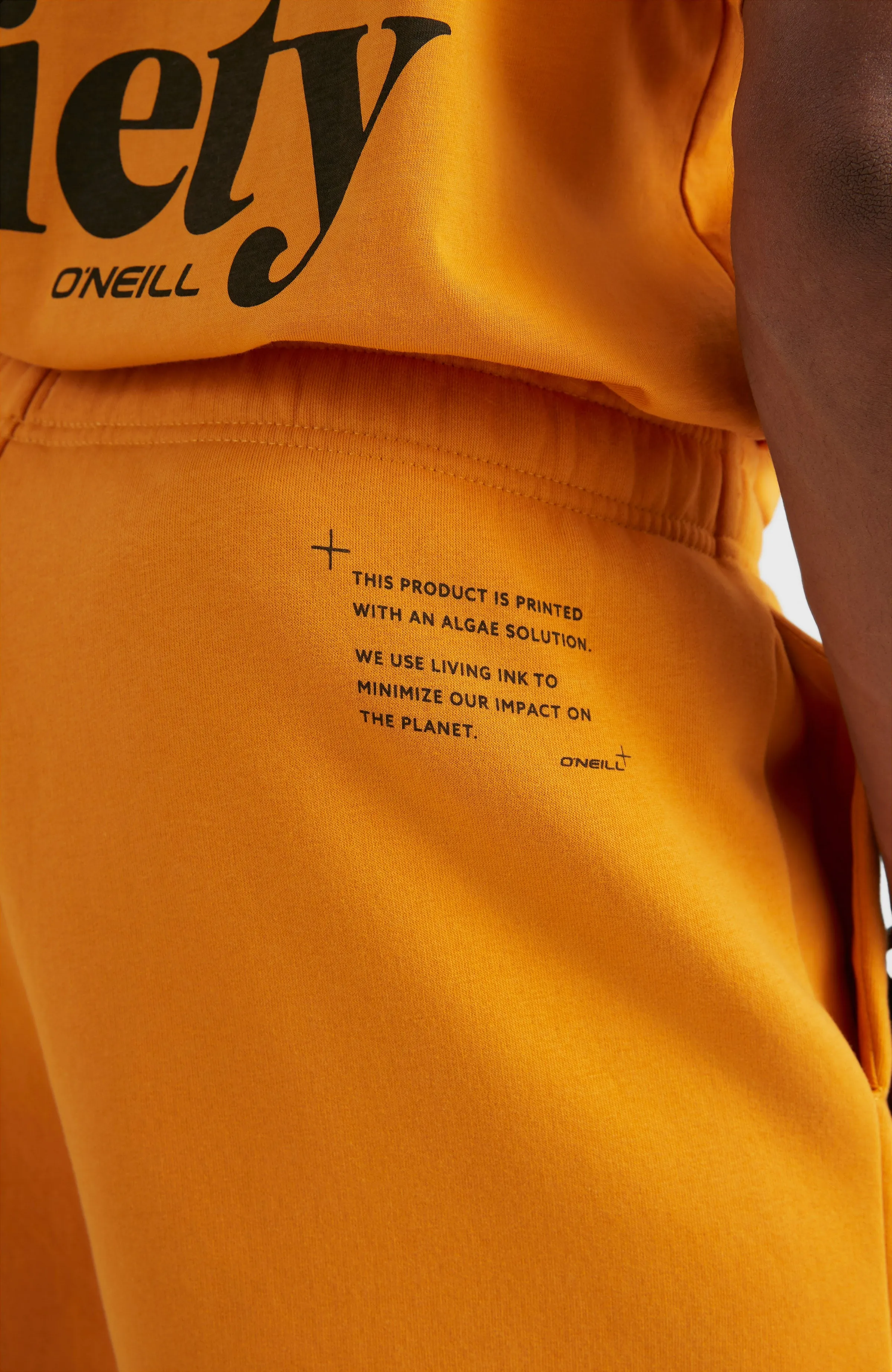 Future Surf Sweatshorts | Nugget