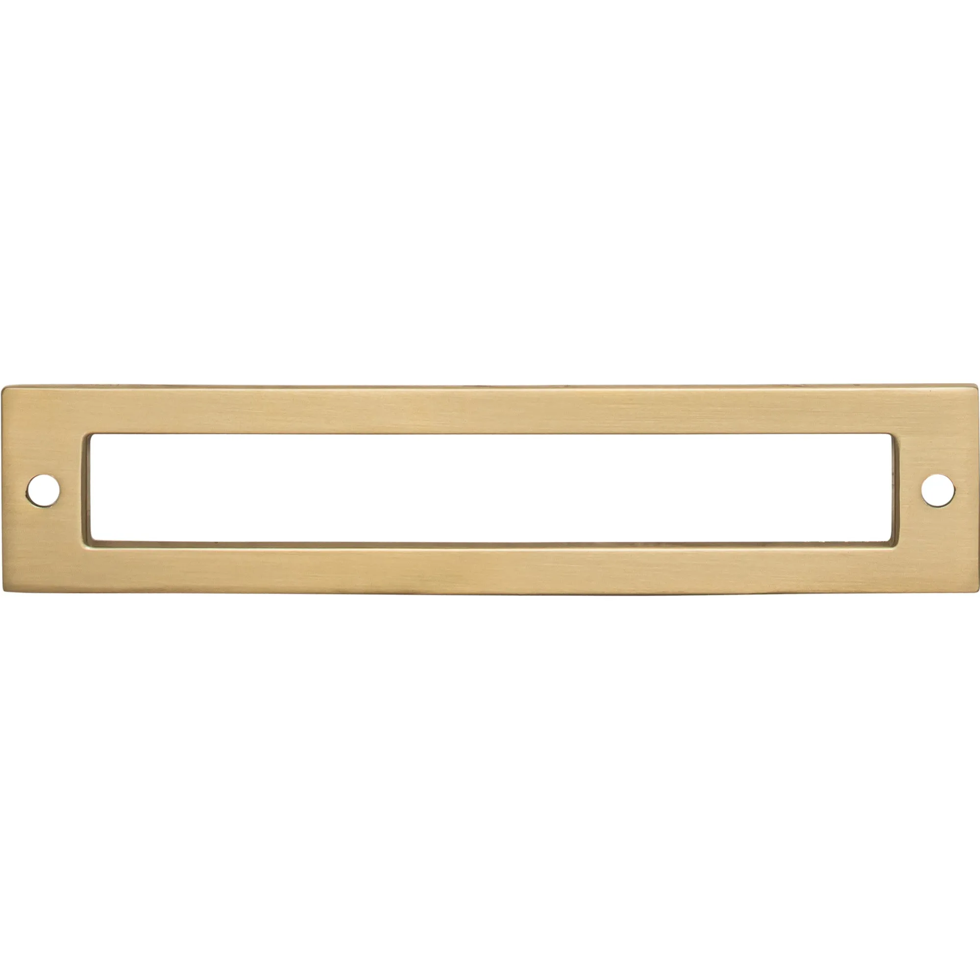 Hollin Backplate