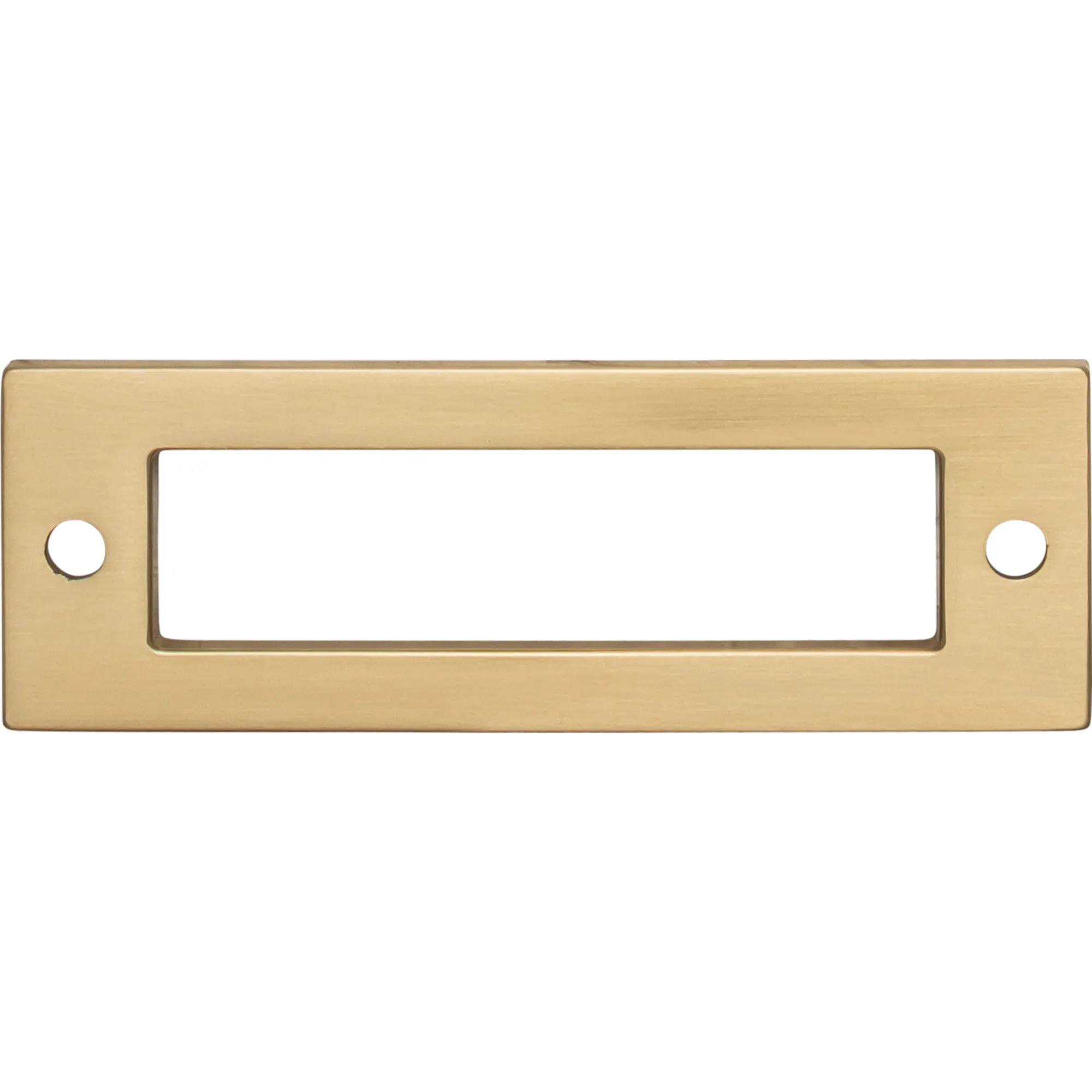 Hollin Backplate