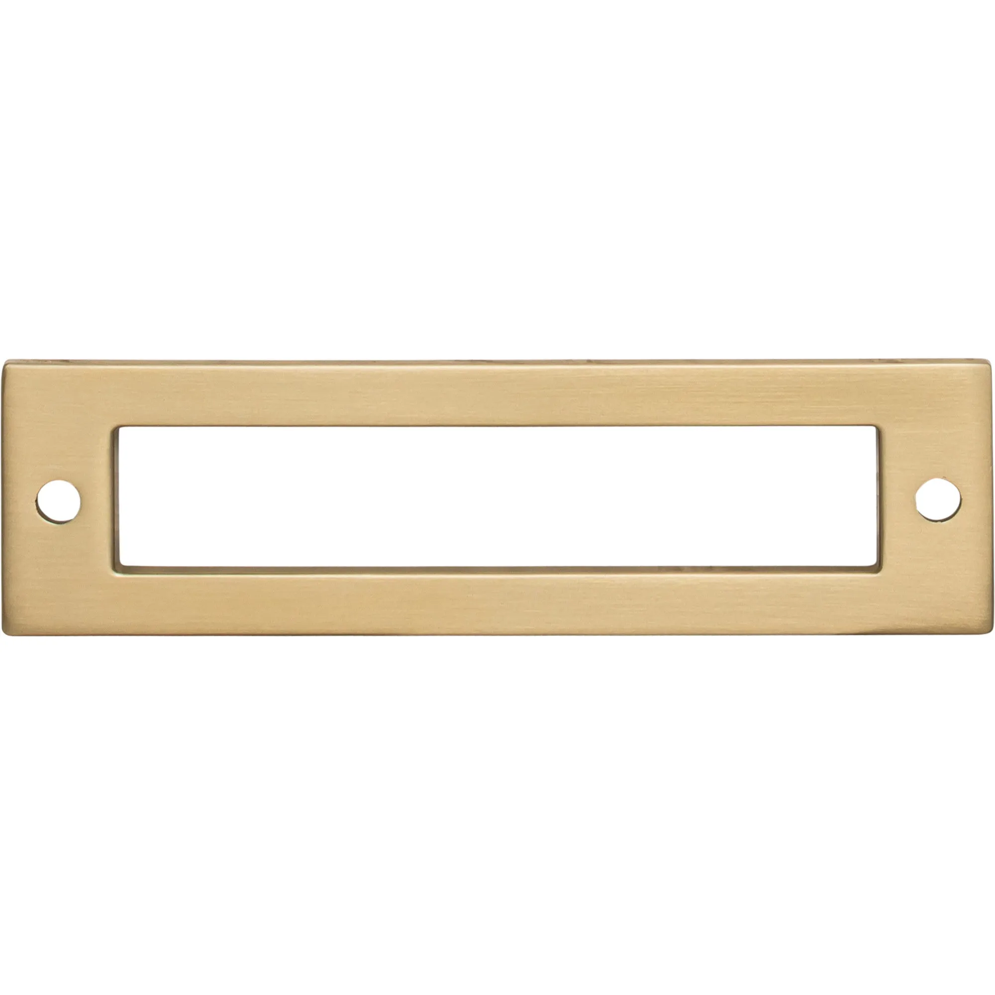 Hollin Backplate