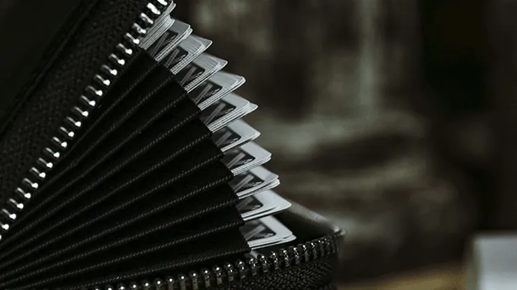 Multi-Function Accordion-Style Card Bag