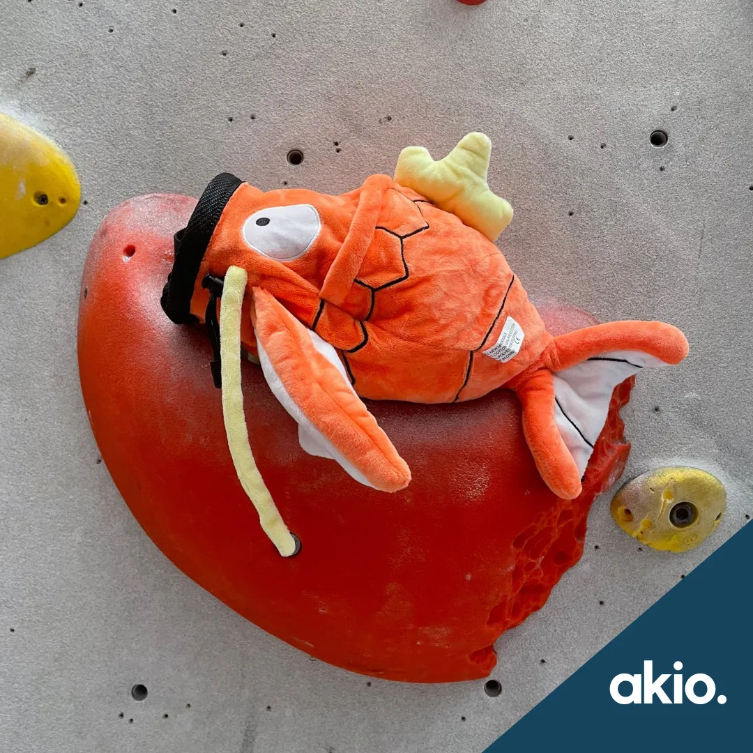 Pokémon Magikarp Chalk Bag with/without Zip Compartment