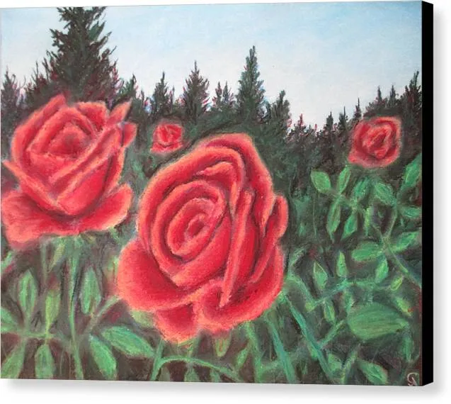 Pure Roses ~ Canvas Print