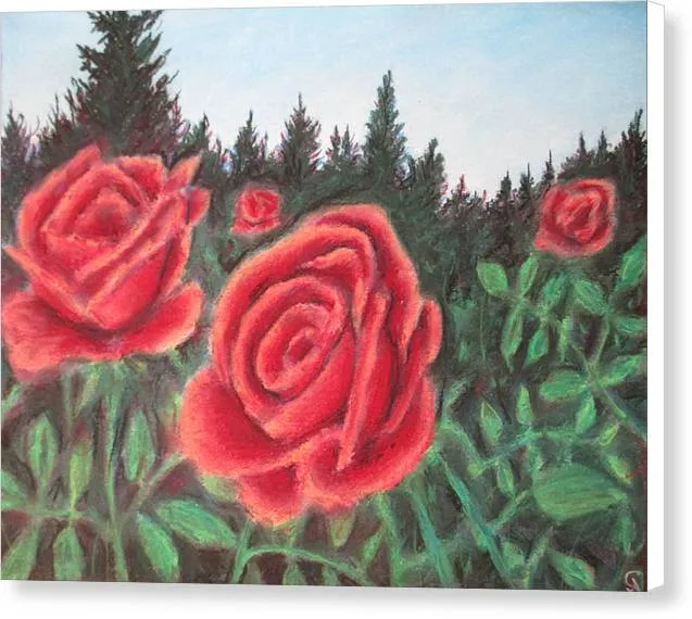 Pure Roses ~ Canvas Print