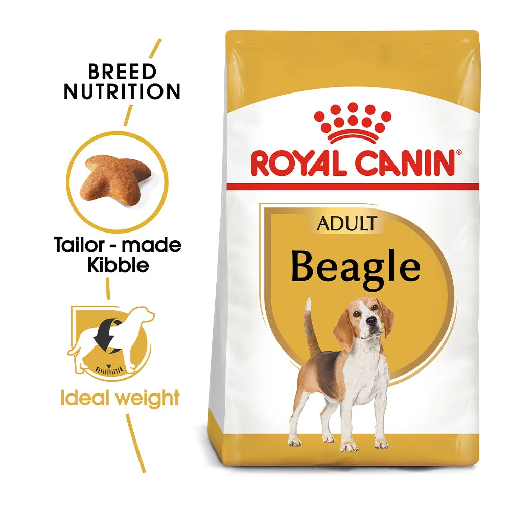 Royal Canin Beagle