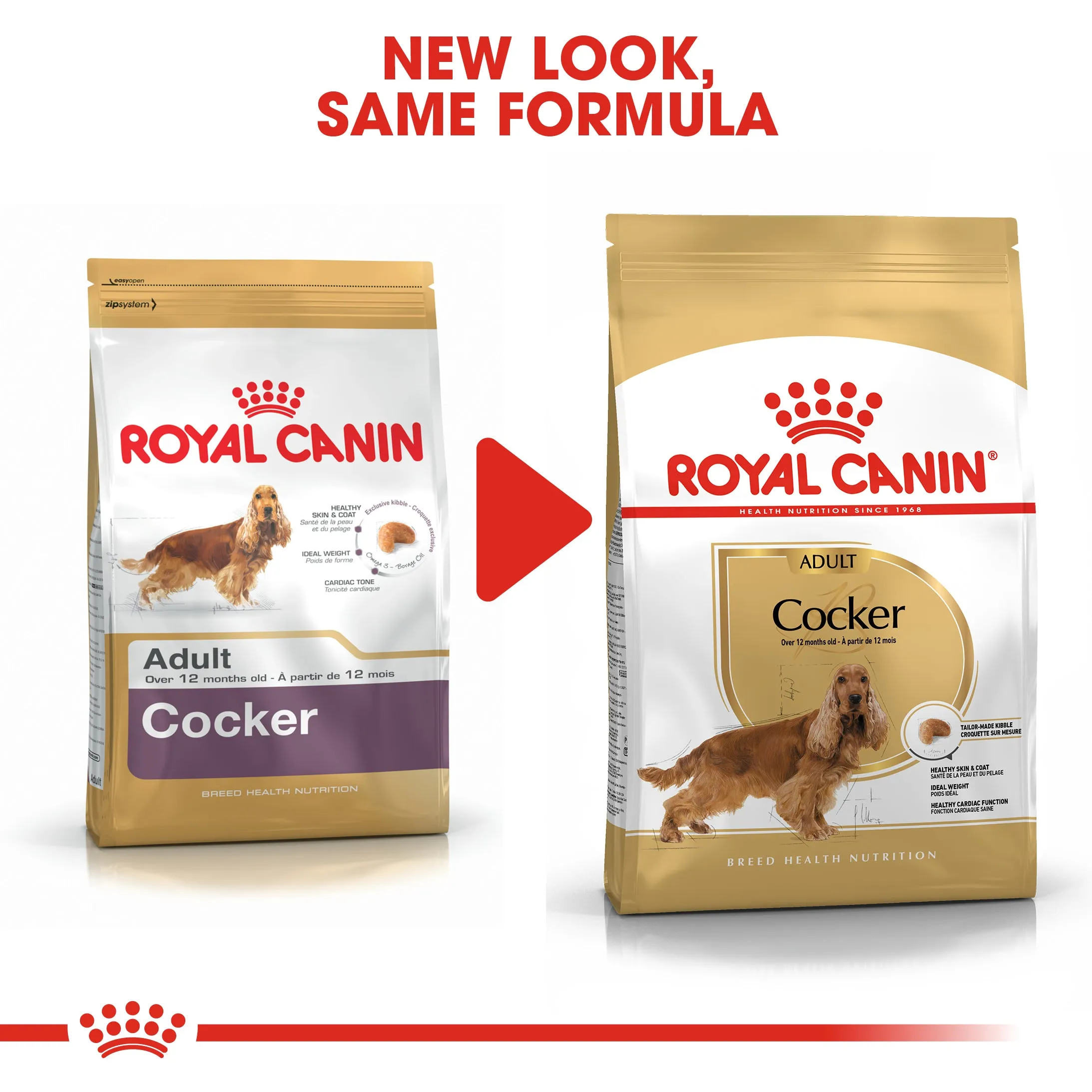 Royal Canin Cocker Spaniel Adult