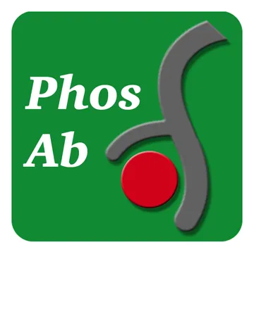 SHP1 (Ser-591), phospho-specific Antibody