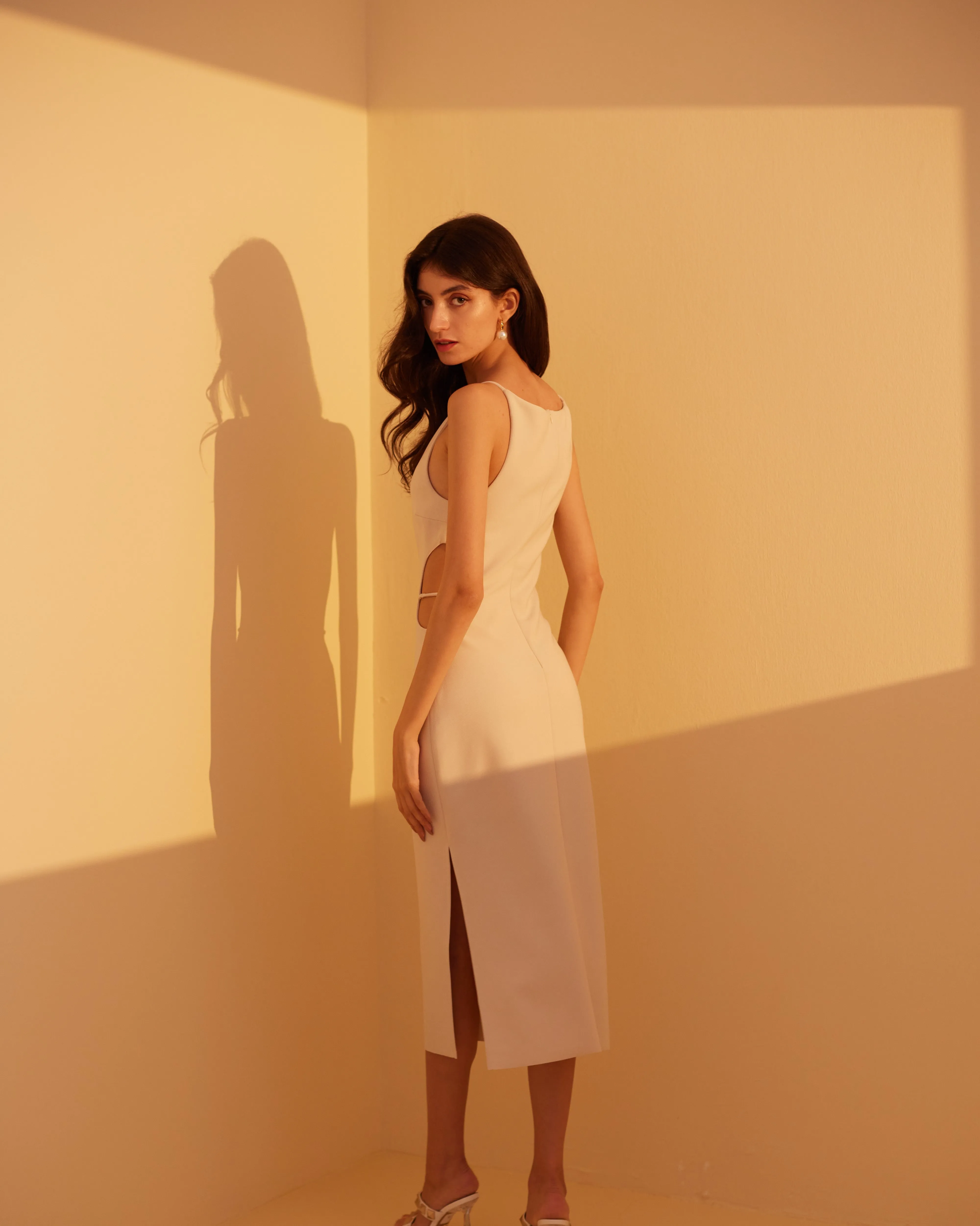 Winona Waist Cutout Dress